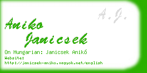 aniko janicsek business card